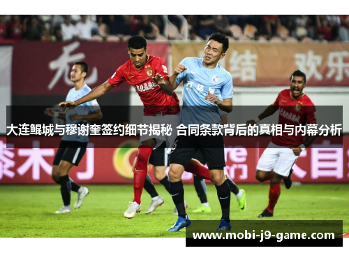 大连鲲城与穆谢奎签约细节揭秘 合同条款背后的真相与内幕分析