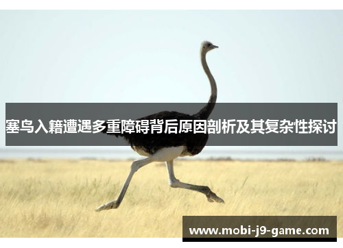 塞鸟入籍遭遇多重障碍背后原因剖析及其复杂性探讨
