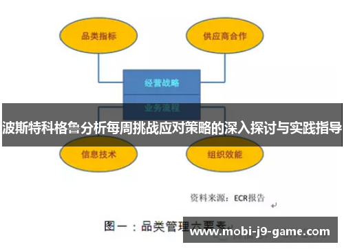波斯特科格鲁分析每周挑战应对策略的深入探讨与实践指导