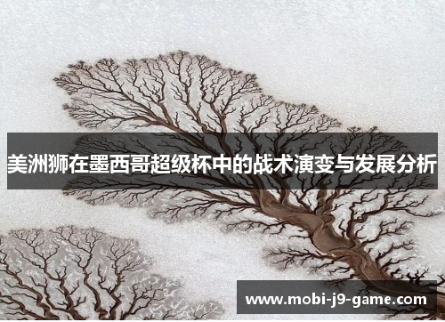 美洲狮在墨西哥超级杯中的战术演变与发展分析 美洲狮在墨西哥超级杯中的战术演变与发展分析