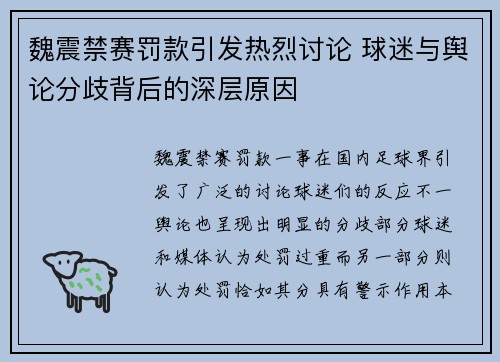 魏震禁赛罚款引发热烈讨论 球迷与舆论分歧背后的深层原因